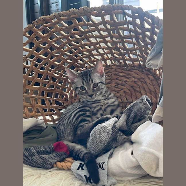 Photo of Pia And Pippin