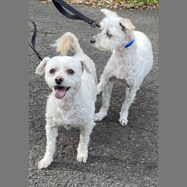 Photo of Snowy And Stormy