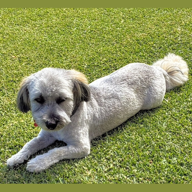 Photo of Maggie