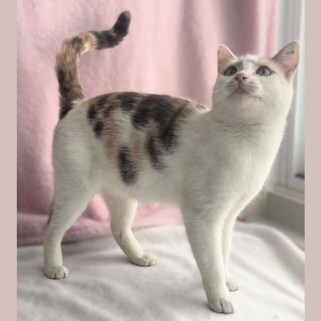Photo of Tilly
