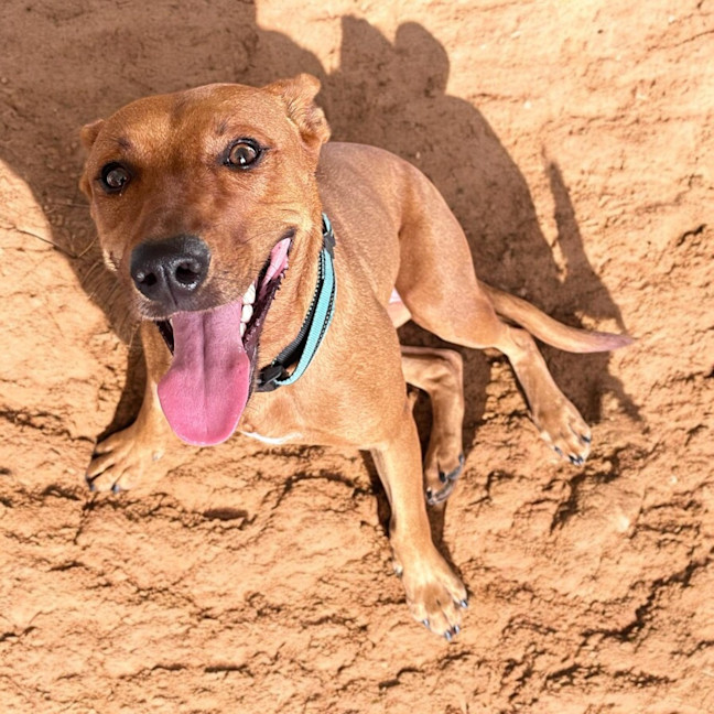 Photo of Tilly