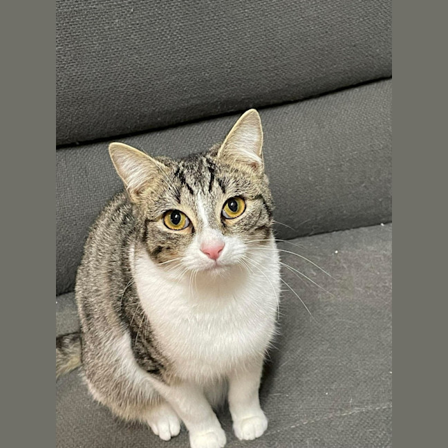 Photo of Monty