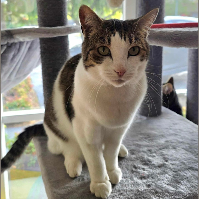 Photo of Jimmy! ❤️ 