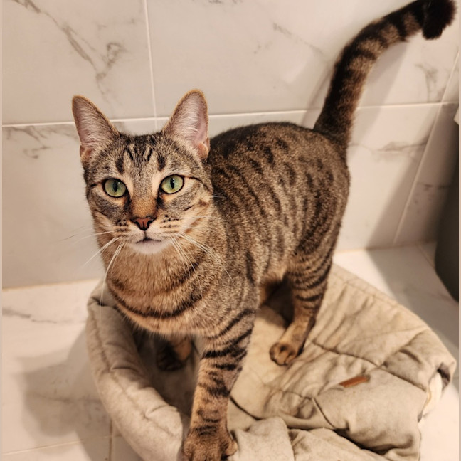 Photo of Fifi