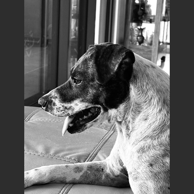 Photo of Billie Jean