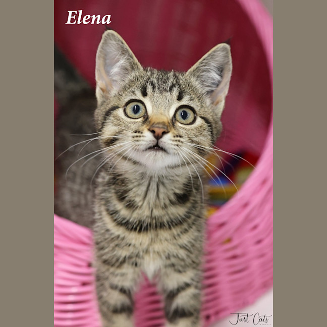Photo of Elena