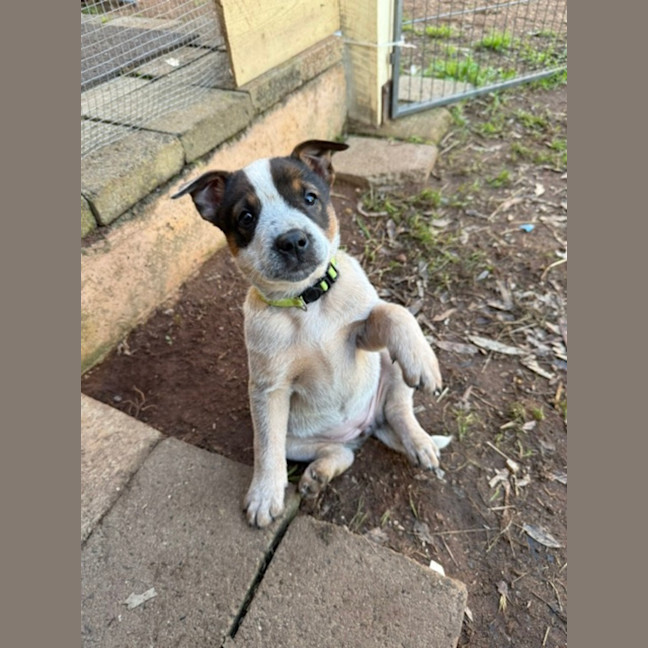 Photo of Salsa
