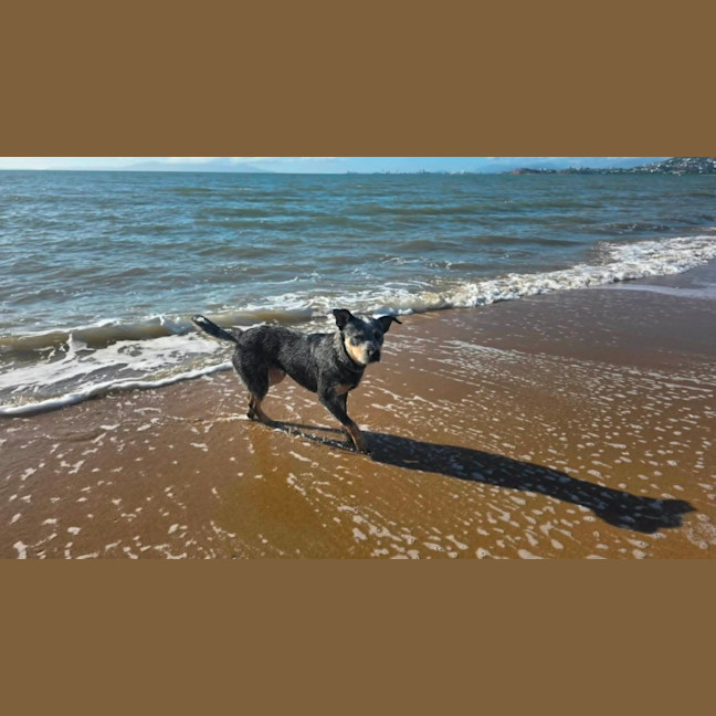 Photo of Speckles