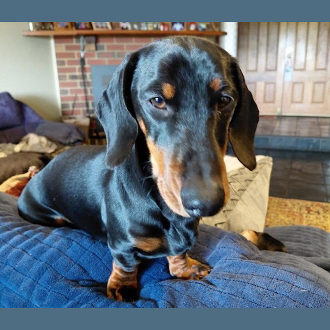 Photo of Lucky