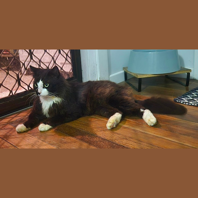 Photo of Cain (0004)