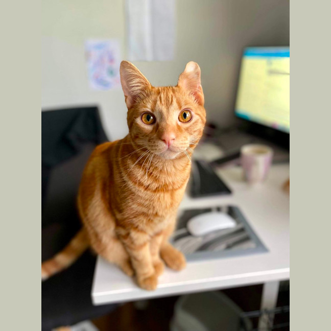 Photo of Ched & Ritz