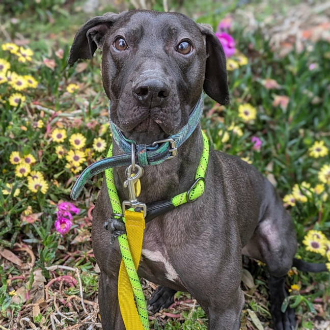 Photo of Maisey