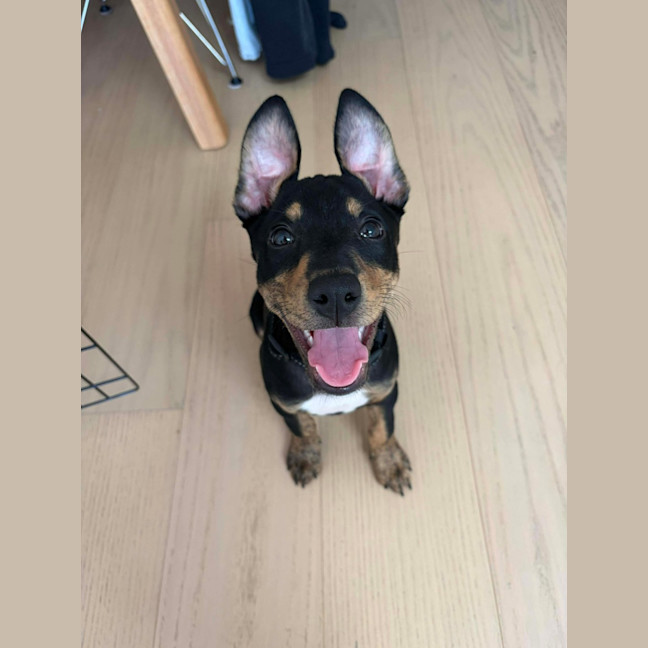 Photo of Cooper 🫶🏻