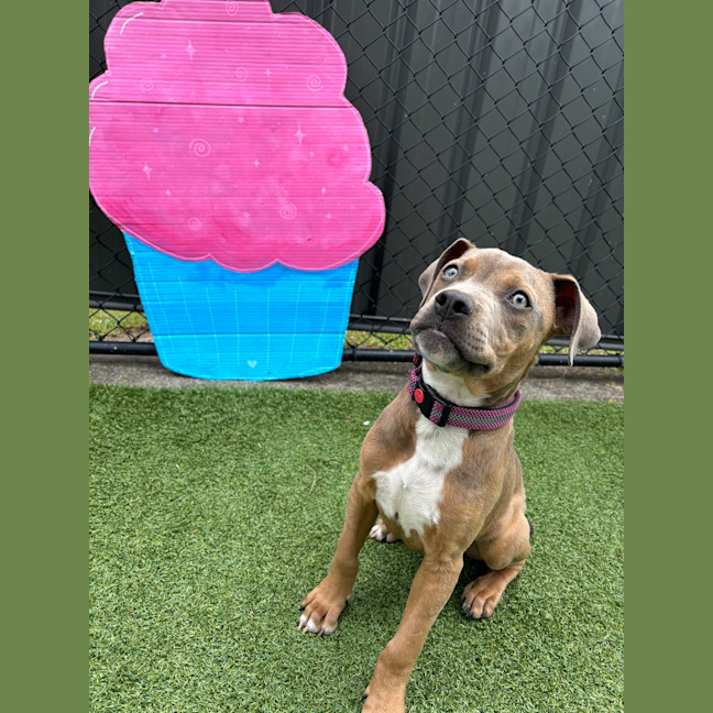 Photo of Storm