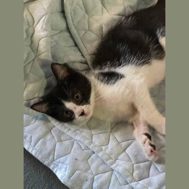 Photo of Sonny ☀️