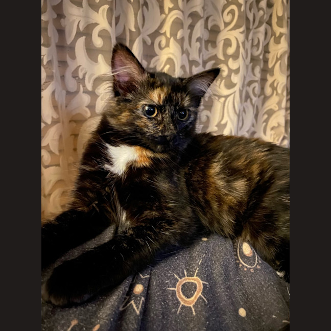 Photo of Honey 