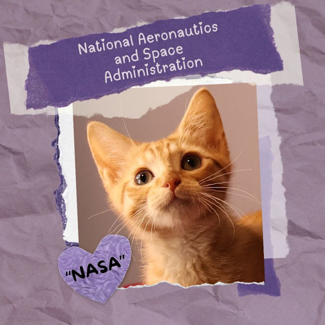 Photo of N.A.S.A.