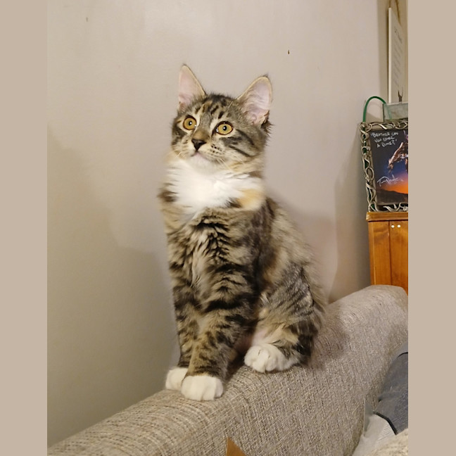 Photo of Clymbeth