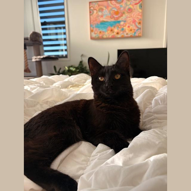 Photo of Maya