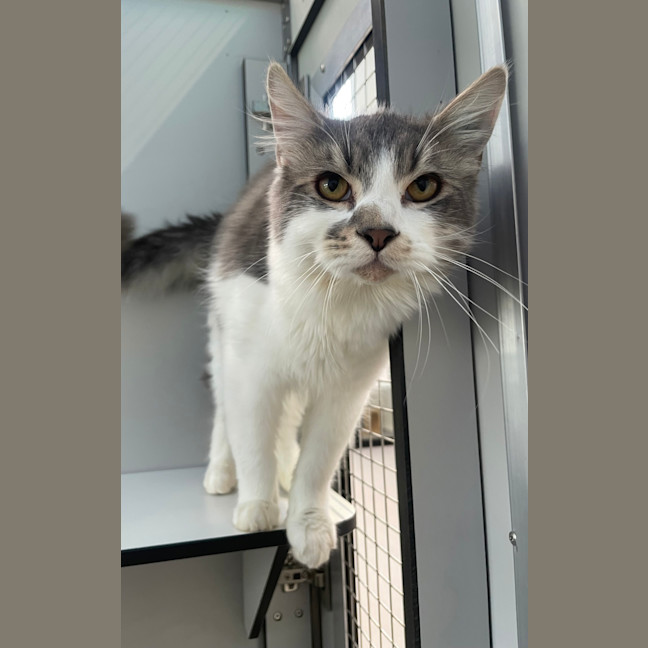 Photo of Jasper