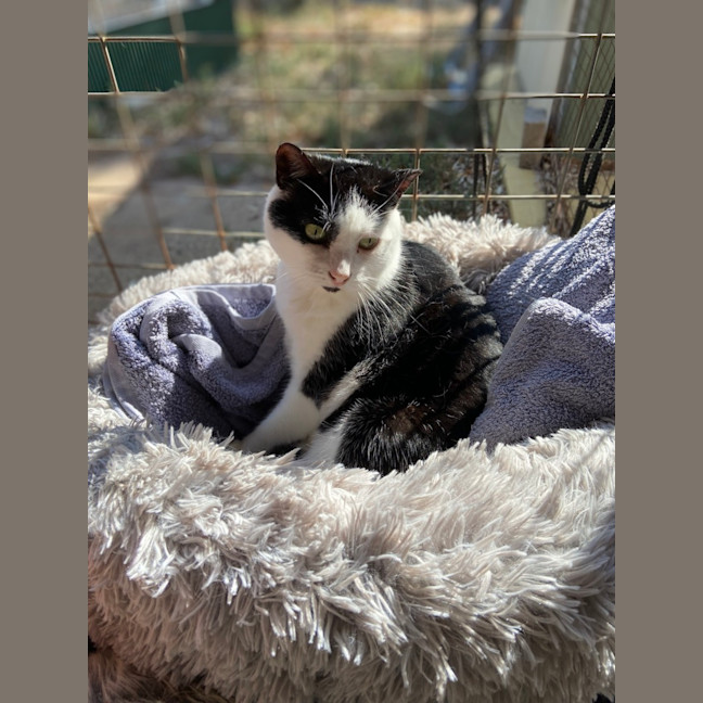 Photo of 💗 Amarina   Total Sweetheart 💗