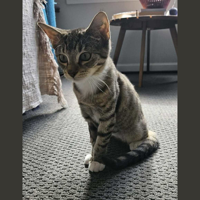 Photo of Daphne 
