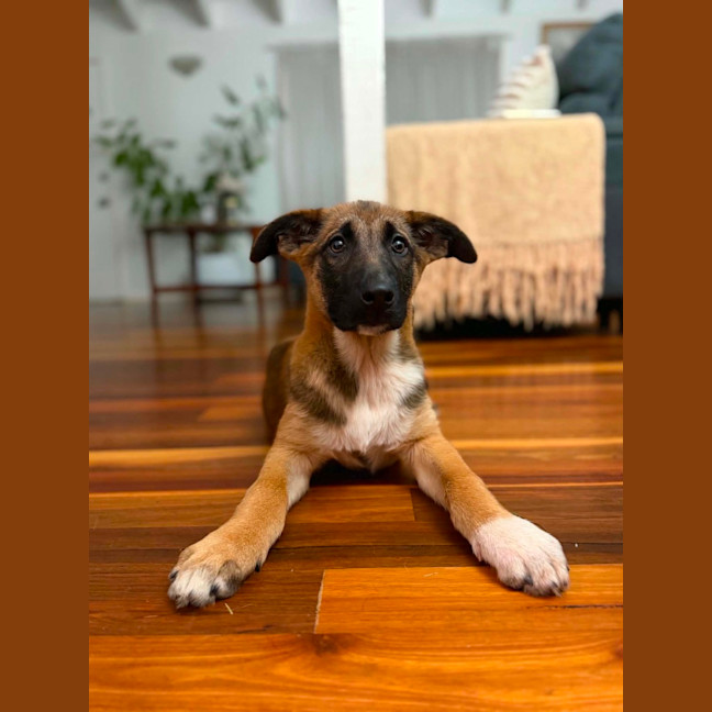 Photo of Hattie