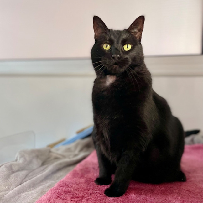 Photo of Suzie