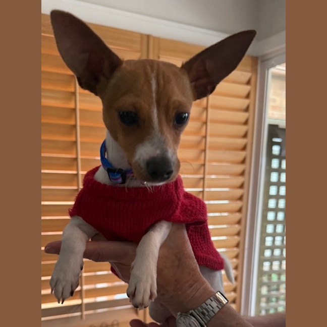 Photo of Pablo