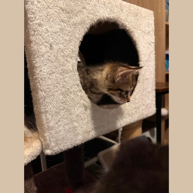 Photo of Rosie