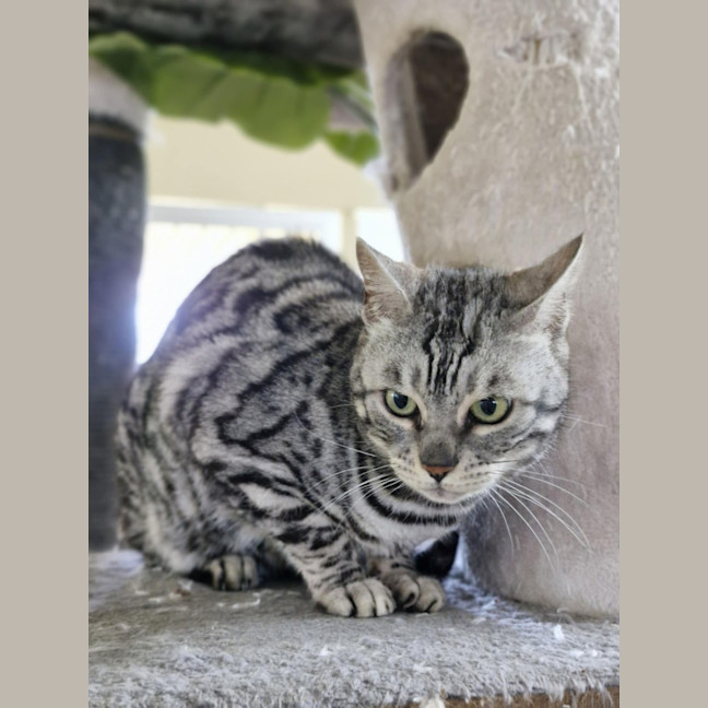 Photo of Tara And Fantasy 