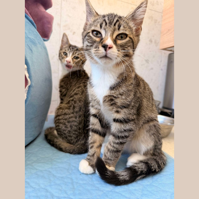 Photo of Gary & Harriet 