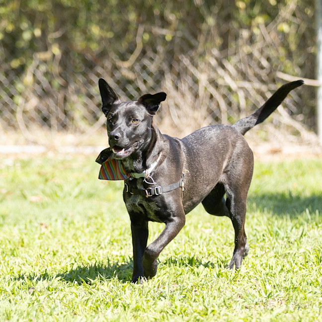 Photo of Mia