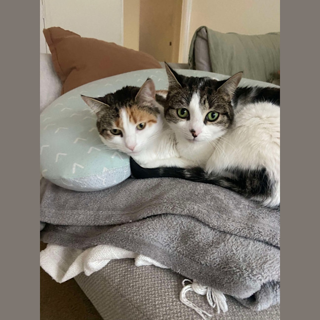 Photo of Shelly And Sandy