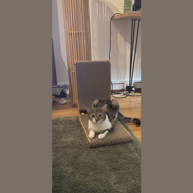 Photo of Polly