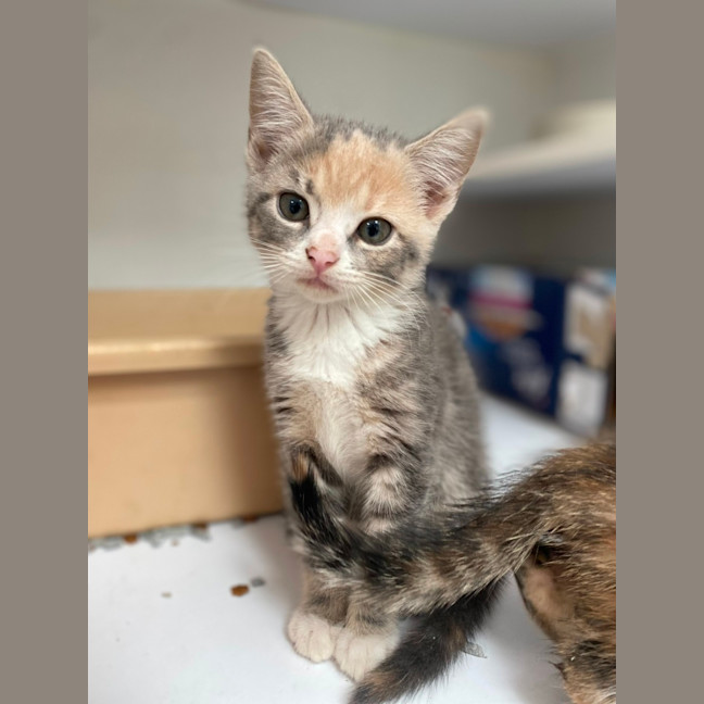 Photo of Geneva (9958)