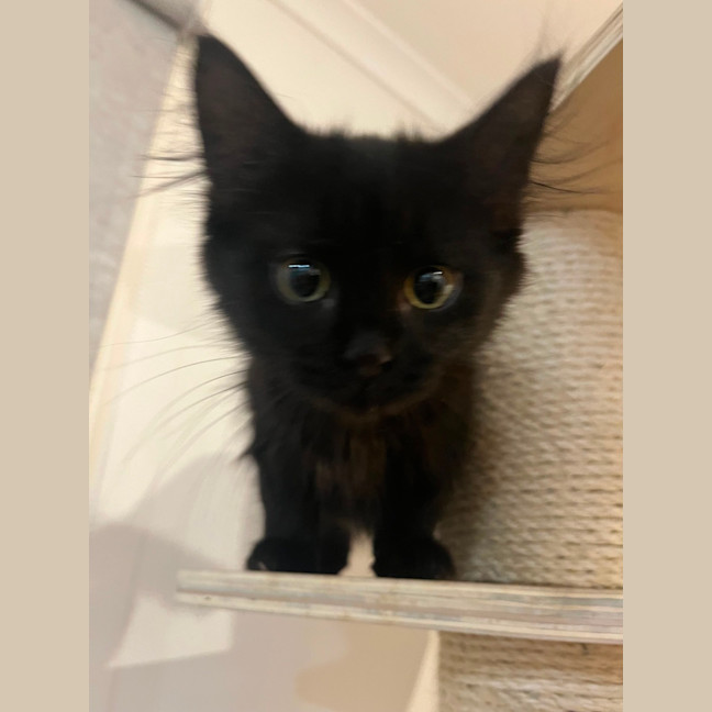 Photo of Turbo 