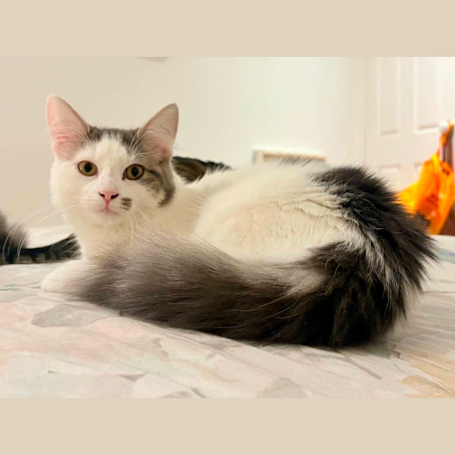 Photo of 🌿 Willow 🌿
