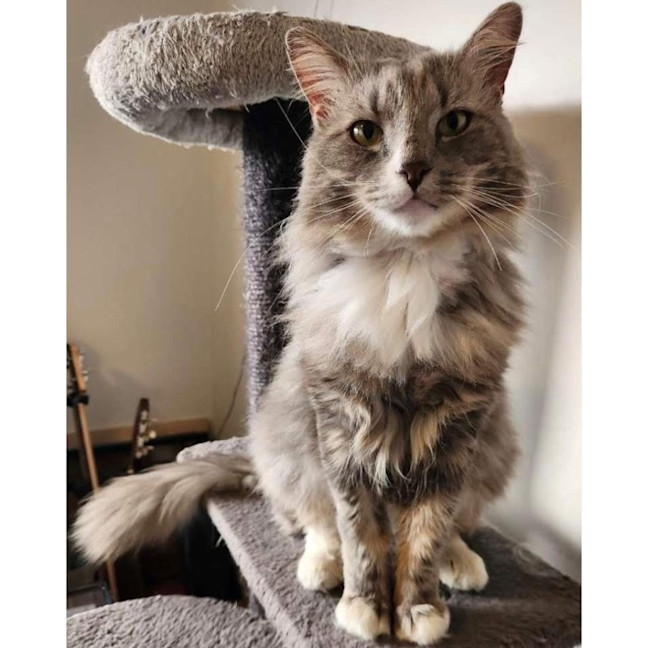 Photo of 12810   George 