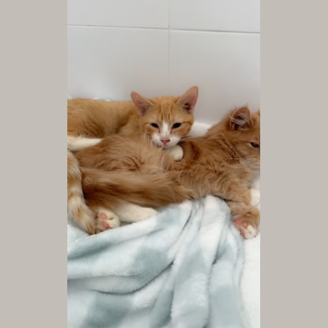 Photo of Teddy & Alexander