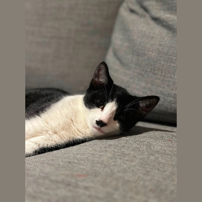 Photo of Zip