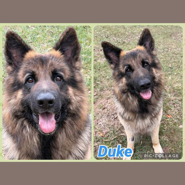 Photo of Duke