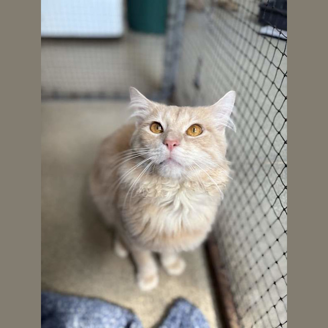 Photo of Buddy