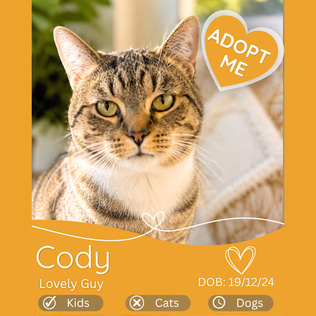 Photo of Cody