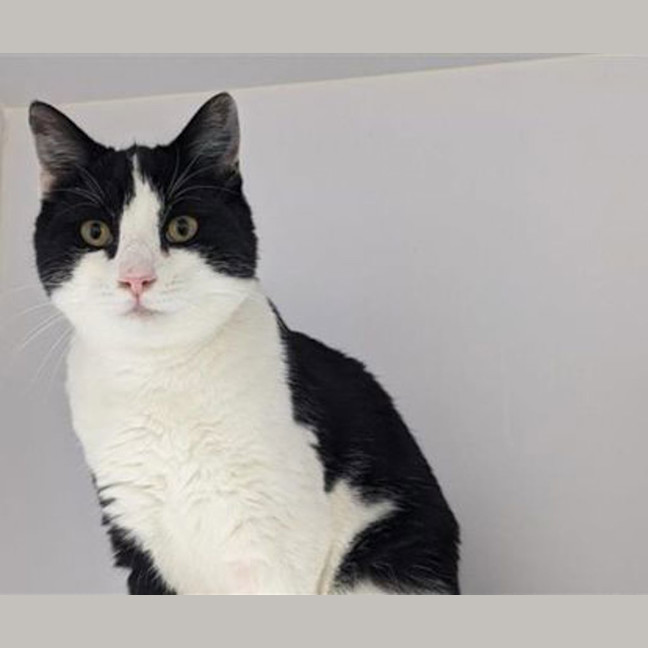 Photo of Aloysius