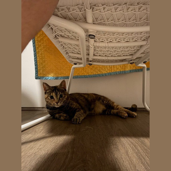 Photo of Luna 