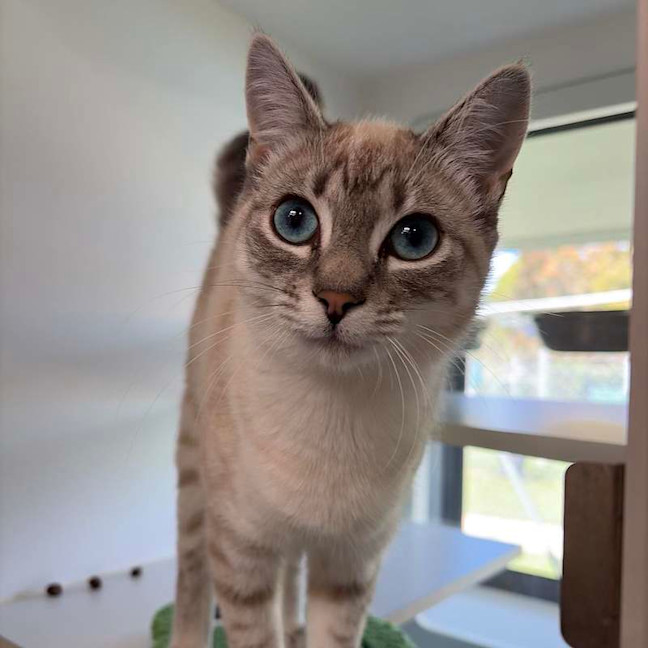 Photo of Jazz