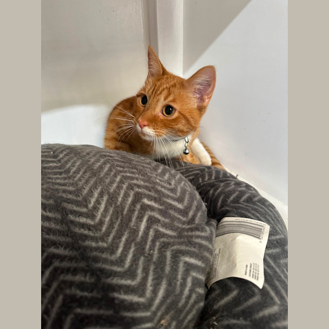 Photo of Vader & Weasley 