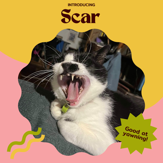 Photo of Scar