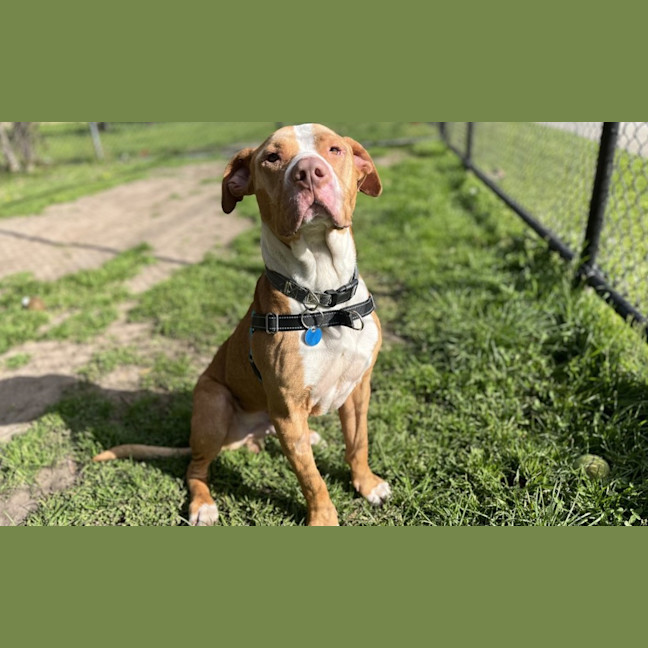 Photo of Wally